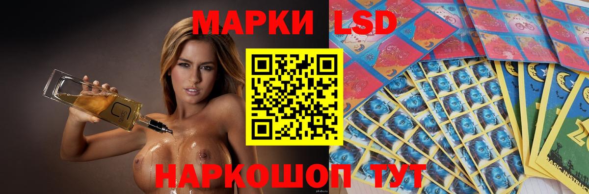 Новый Уренгой  Лсд 25 экстази кислота  Вход с VPN 