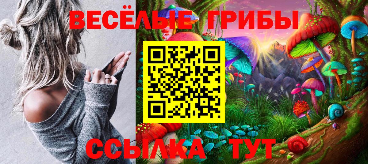 Псилоцибиновые грибы мицелий Новый Уренгой
