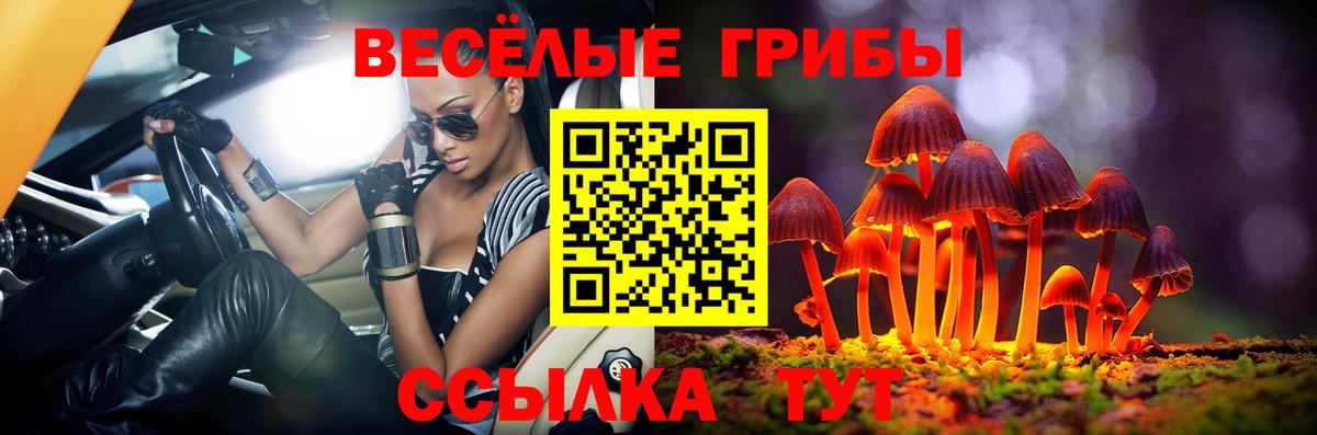 Новый Уренгой  Псилоцибиновые грибы Cubensis  Псилоцибиновые грибы мицелий  Вход с VPN 